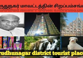 விருதுநகர் மாவட்டம்/about Virudhunagar district history/sivakasi /Rajapalayam/Srivilliputhur/STR/APK