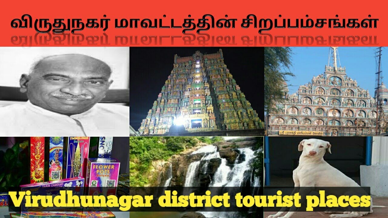 விருதுநகர் மாவட்டம்/about Virudhunagar district history/sivakasi /Rajapalayam/Srivilliputhur/STR/APK