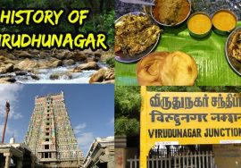 History of Virudhunagar | விருதுநகரைப் பற்றி தெரிந்தது