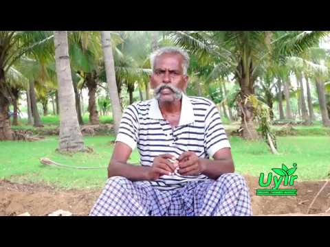 இயற்கை உணவு முறை