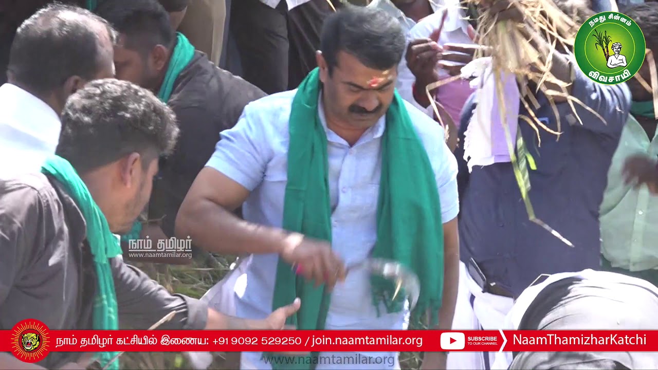29-01-2020 இயற்கை உழவர் நெல் அறுவடைத் திருவிழா – தொடங்கிவைத்த சீமான் Seeman paddy Harvesting