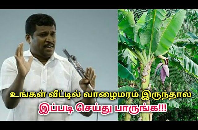 உடலுக்கு நன்மை தரும் வாழைமரத்தில் எடுக்கப்படும் குடிநீர் | Healer baskar speech on banana water