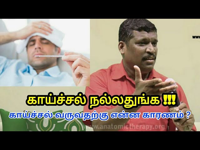 Fever – காய்ச்சல் வருவது நல்லது | Healer Baskar speech on fever treatment in tamil