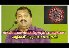 நோய்எதிர்ப்பு சக்தியை அதிகரிக்கும் உணவுகள் | Dr.Sivaraman speech on  foods for immune system
