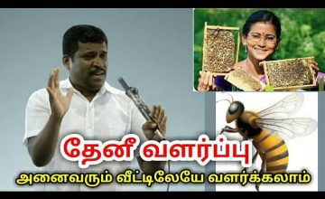 தேனீ வளர்ப்பு – வீட்டுக்கு ஒரு தேனீபெட்டி அவசியம்| Healer baskar speech on bee keeping