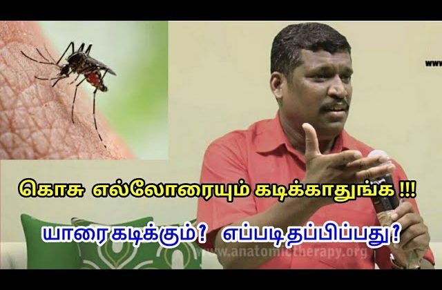 கொசு யாரை கடிக்கும் | Mosquito bite remedy in tamil by Healer baskar sir