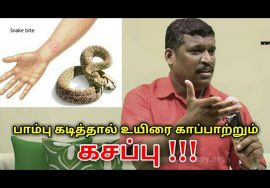 விஷப்பூச்சி கடித்தால் உயிரை காப்பாற்றும் கசப்பு | Healer baskar speech on snake bite treatment