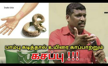விஷப்பூச்சி கடித்தால் உயிரை காப்பாற்றும் கசப்பு | Healer baskar speech on snake bite treatment