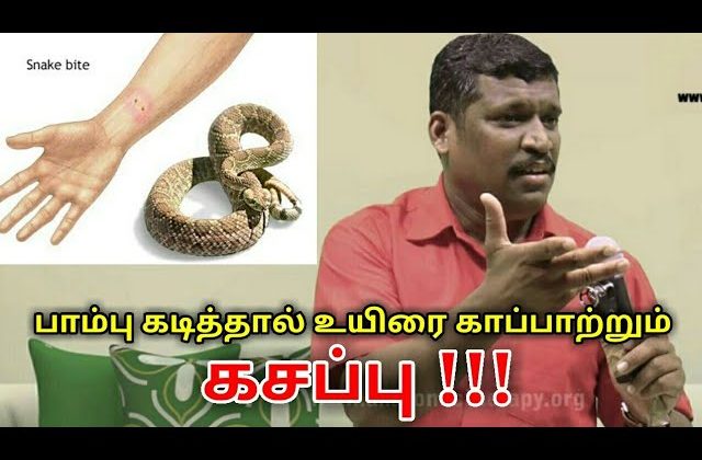 விஷப்பூச்சி கடித்தால் உயிரை காப்பாற்றும் கசப்பு | Healer baskar speech on snake bite treatment