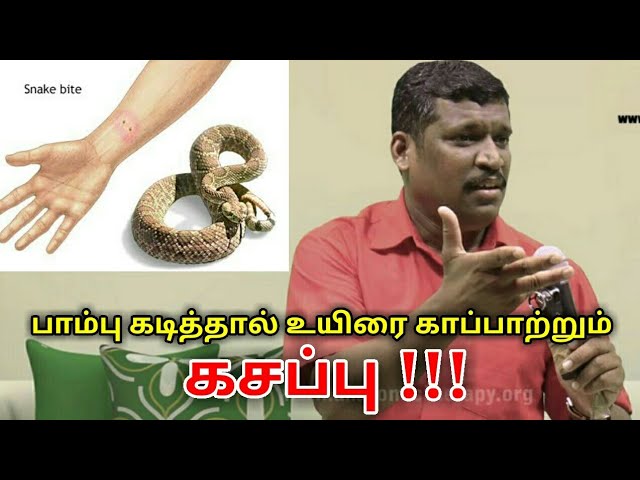 விஷப்பூச்சி கடித்தால் உயிரை காப்பாற்றும் கசப்பு | Healer baskar speech on snake bite treatment