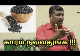 நெஞ்சு சளி குணமாக காரம் சாப்பிடுங்க | Healer baskar speech on kaaram and liver