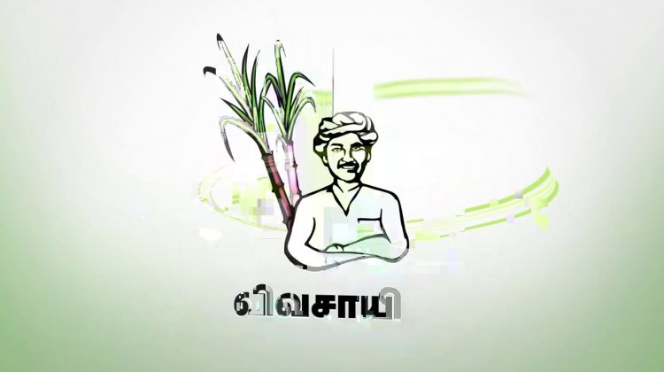 #வெல்லப்போறான்_விவசாயி – 2021 தேர்தலில் நாம் தமிழர் கட்சிக்கு விவசாயி சின்னம் – தேர்தல் ஆணையம்