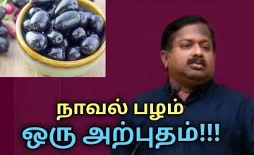நாவல் பழத்தின் மருத்துவ பயன்கள் | Dr.Sivaraman speech on jamun fruit health benefits