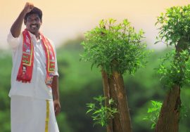 வீழ்ந்த தமிழினம் மீண்டெழ; தமிழகம் தழைக்க வாக்களிப்போம் நாம் தமிழர் கட்சி #நமதுசின்னம்_விவசாயி