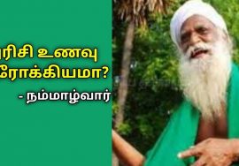 அரிசி உணவு பற்றி நம்மாழ்வாரின் கருத்து | Nammalvar speech on rice food