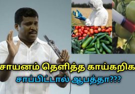 ரசாயனம் தெளித்த காய்கறிகள் சாப்பிடலாமா | Healer Baskar speech on vegetables