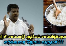 அரிசி சாப்பாடு அதிகம் சாப்பிடுவது உடலுக்கு ஆபத்தா | Healer Baskar speech on eating rice food