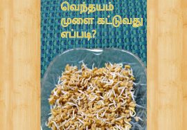 #Shorts 93 – Fenugreek sprouts  – Eat sprouts daily to boost  immunity – Mallika Badrinath