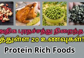 20 Protein Rich Foods List | அதிக புரதச்சத்து நிறைந்த சத்தான 20 உணவுகள்