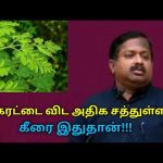 கண்ணுக்கு தேவையான அதிக சத்துக்கள் உள்ள கீரை | Dr.Sivaraman speech on benefits of moringa leaf