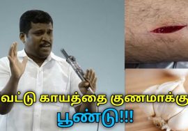 வெட்டு காயத்தை குணமாக்க வீட்டு வைத்தியம் | Healer Baskar speech on home remedy for wound