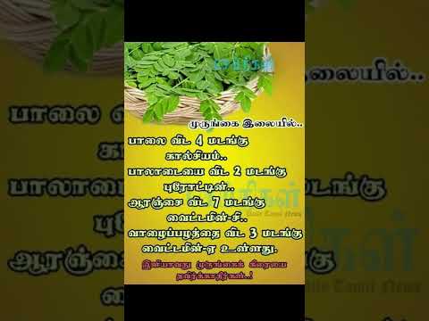 முருங்கை கீரை நன்மைகள்