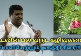 அகத்தி கீரையின் அற்புத பலன்கள் | Healer Baskar speech on health benefits of agathi keerai
