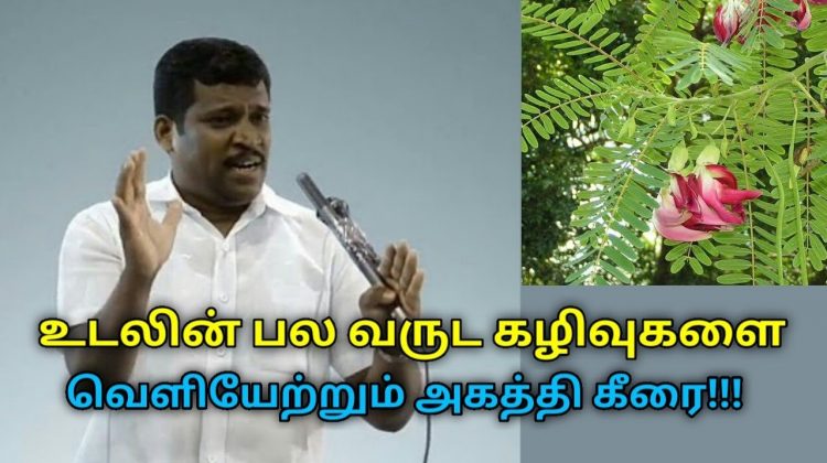 அகத்தி கீரையின் அற்புத பலன்கள் | Healer Baskar speech on health benefits of agathi keerai