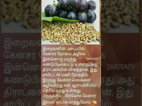 திராட்சை விதையின் மருத்துவ நன்மைகள்