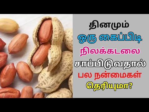 தினமும் ஒரு கைப்பிடி நிலக்கடலை சாப்பிடுங்க – பல நன்மைகள் கிடைக்கும் | Groundnut health benefits