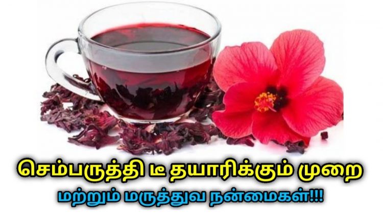 இதயத்தை பாதுகாக்கும் செம்பருத்தி டீ | Hibiscus tea health benefits