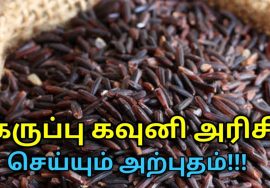 உடல் எடை குறைக்கும் கருப்பு கவுனி அரிசியின் மருத்துவ நன்மைகள்| Health benefits of karupu kavuni rice
