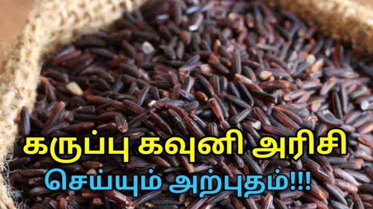 உடல் எடை குறைக்கும் கருப்பு கவுனி அரிசியின் மருத்துவ நன்மைகள்| Health benefits of karupu kavuni rice