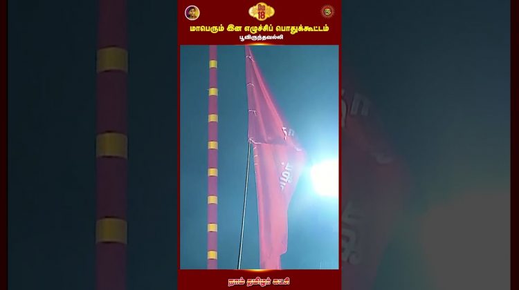 பறக்குது பறக்குது புலிக்கொடி! சிறக்குது சிறக்குது தமிழ்க்குடி! #Shorts #Pulikodi #NTKFlagSongs