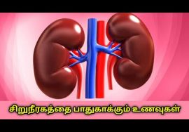 சிறுநீரகத்தை ஆரோக்கியமாக வைத்திருக்கும் உணவுகள் | Food for healthy kidney