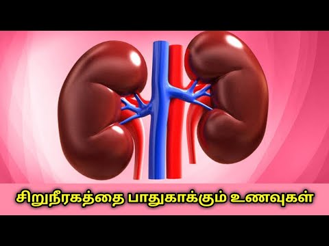 சிறுநீரகத்தை ஆரோக்கியமாக வைத்திருக்கும் உணவுகள் | Food for healthy kidney