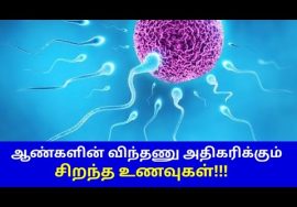 ஆண்களின் விந்து உற்பத்தியை அதிகரிக்கும் இயற்கை உணவுகள் | Foods to increase sperm count