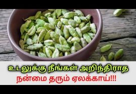 ஏலக்காய் சாப்பிடுவதால் உடலுக்கு கிடைக்கும் நன்மைகள் | Dr.Sivaraman speech on benefits of cardamom