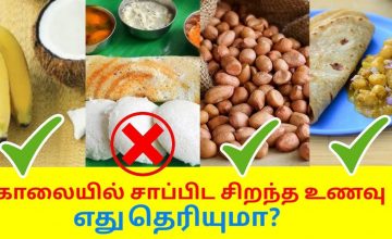 சிறந்த காலை உணவு பட்டியல் – இட்லி தோசை தவிர்க்க வேண்டும் | Best healthy morning breakfast recipes