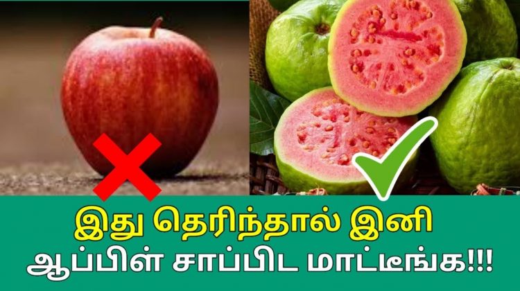கொய்யா பழத்தின் வியக்கவைக்கும் நன்மைகள் | Amazing health benefits of Guava