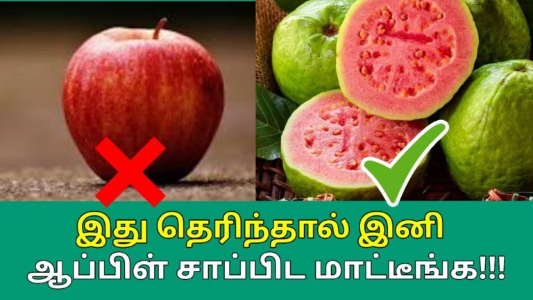 கொய்யா பழத்தின் வியக்கவைக்கும் நன்மைகள் | Amazing health benefits of Guava
