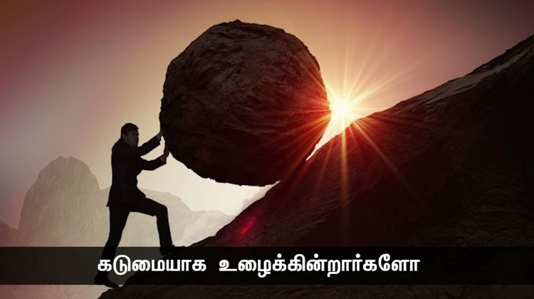 10% நல்வாய்ப்பு, 90% கடுமையான உழைப்பு. இதுவே  வெற்றியின் அடிப்படை! – நாளும் பல நற்செய்திகள் #சீமான்