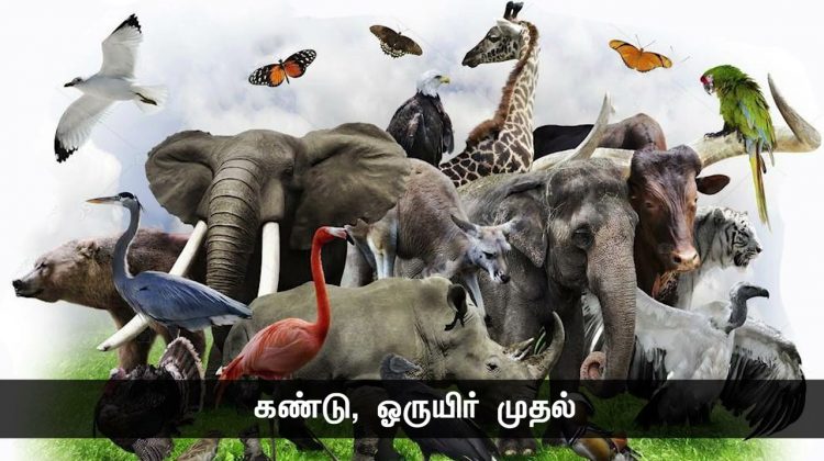 ஒட்டுமொத்த மனித குலத்திற்கு உலக கவிதை எழுதியது தமிழ்! – கவிப்பேரரசு  வைரமுத்து #நாளும்பலநற்செய்திகள்
