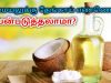 சமையலுக்கு தேங்காய் எண்ணெய் பயன்படுத்தலாமா? | Coconut oil for cooking